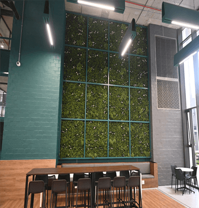 Cape Town Station Mixed-Use Development