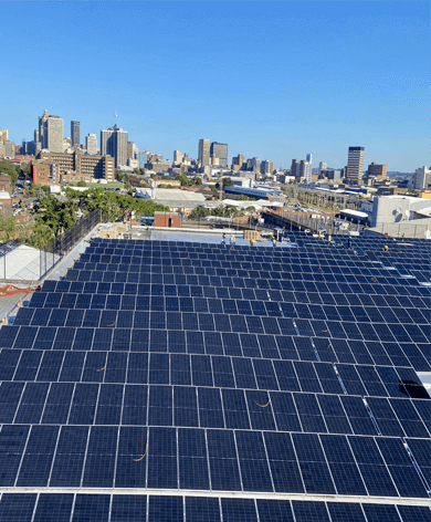 Driving Sustainability: Renewable Energy